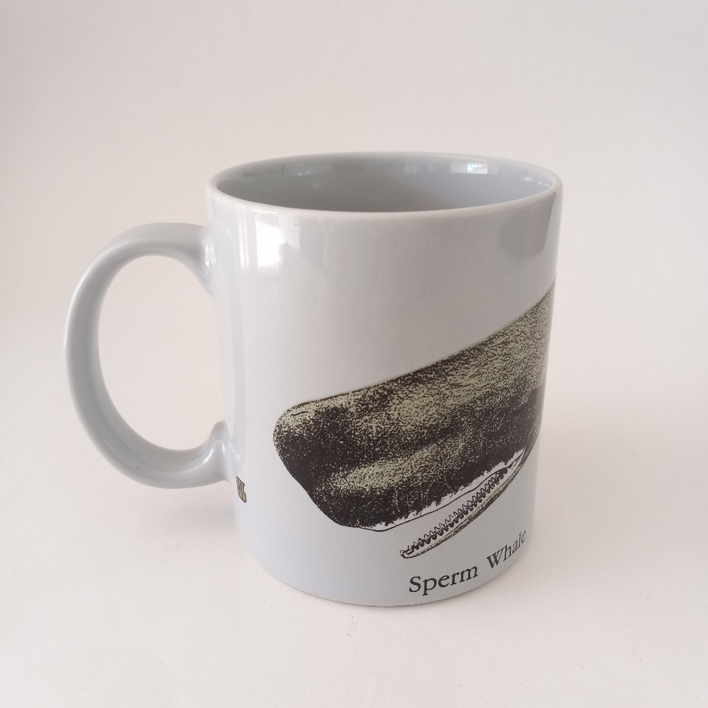 Vintage 1988 California Academy of Science Store Sperm Whale Coffee Cup Japan 🐋